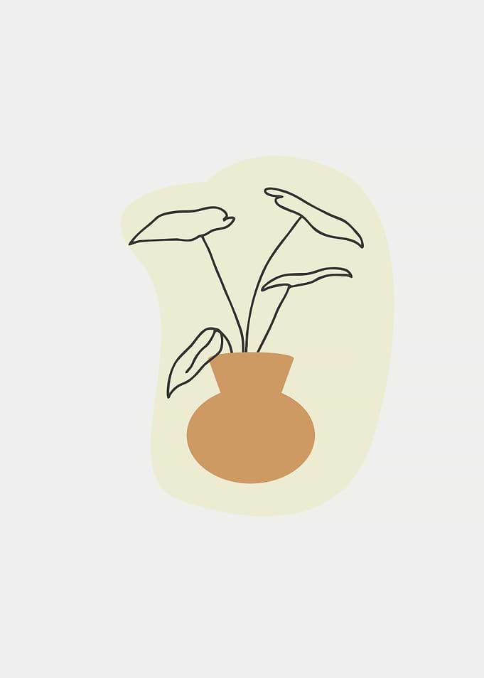 flower and vase