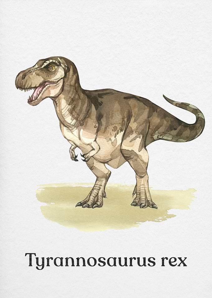 Tyrannosaurus Rex