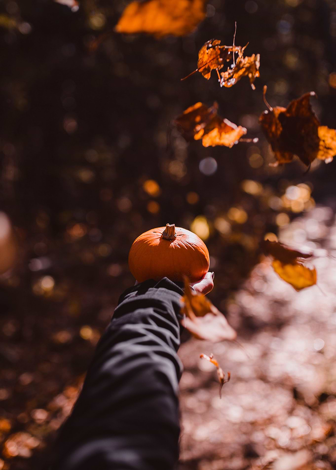 Autumn Vibes