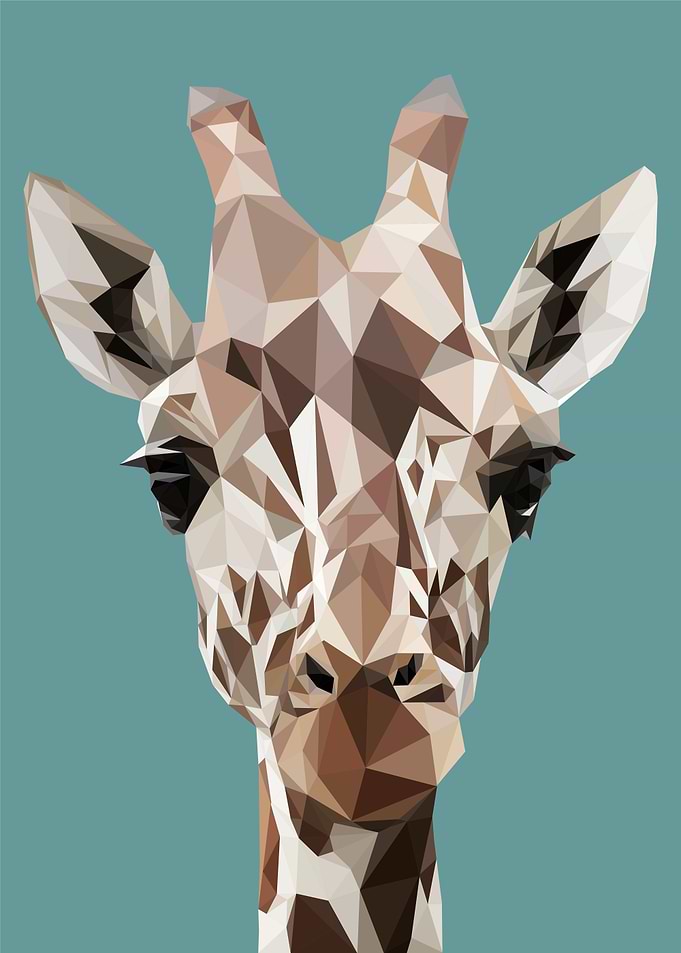 nursery animal giraffe