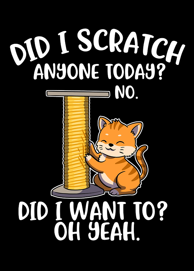 Did I Scratch Anyone Today