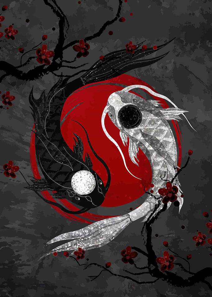 Koi Fish Yin Yang Japan