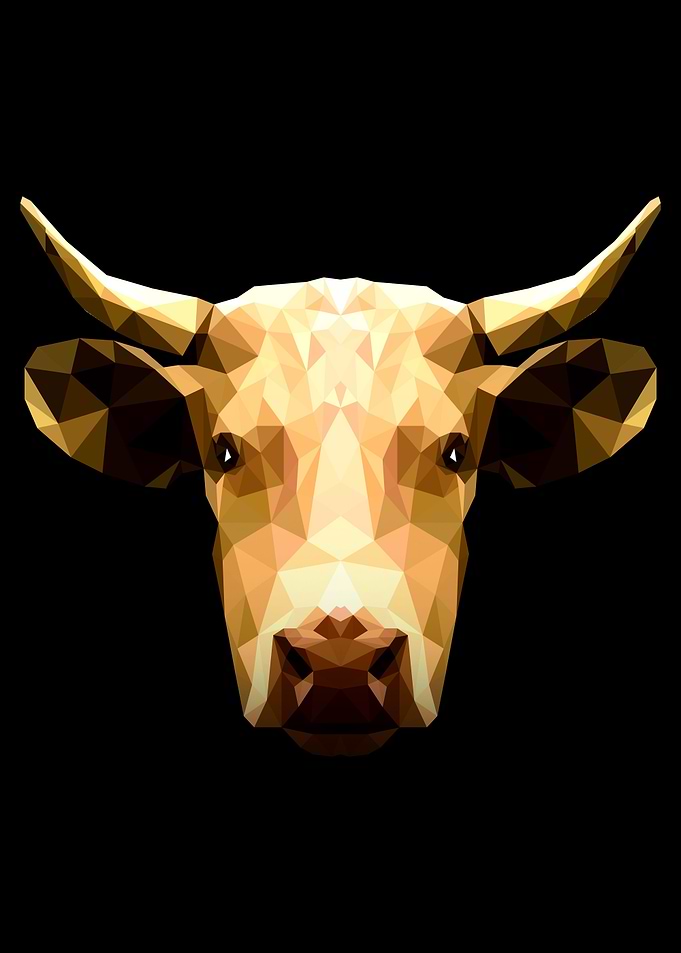 Cattle