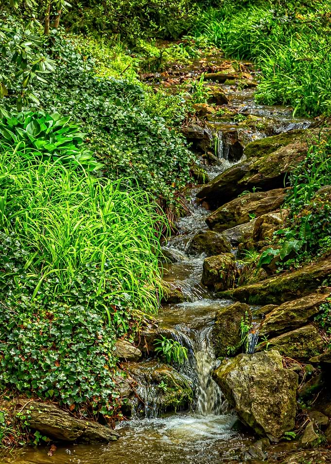 Small Mountain Waterfall