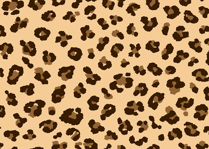Leopard Print Texture