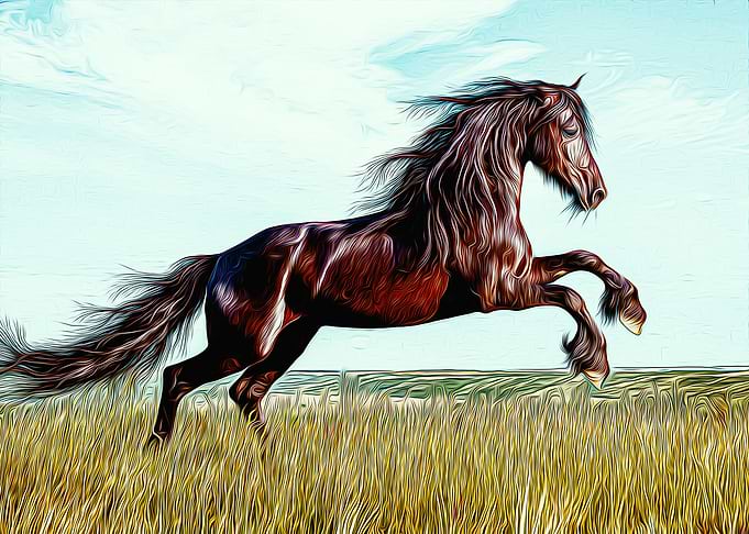 Horse