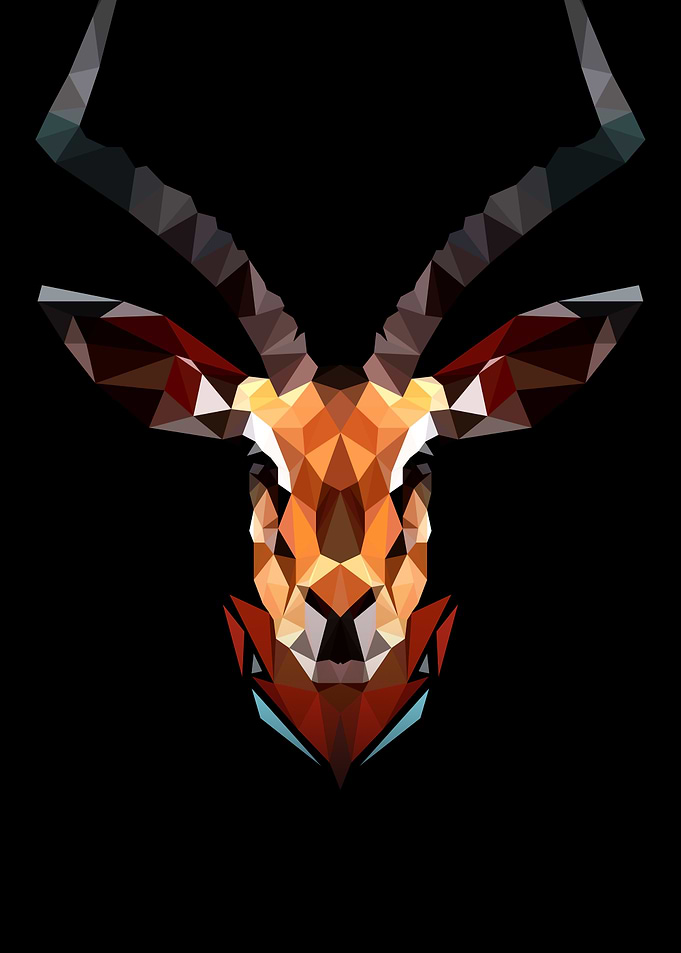Antelope