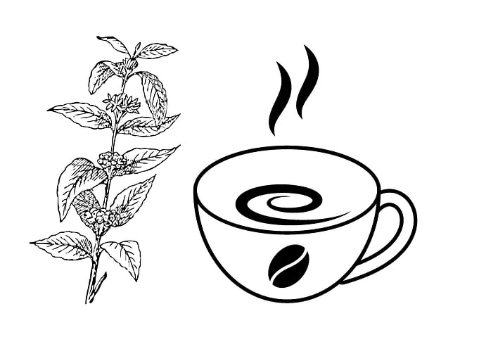 coffee cup