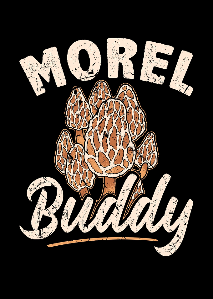 Morel Buddy