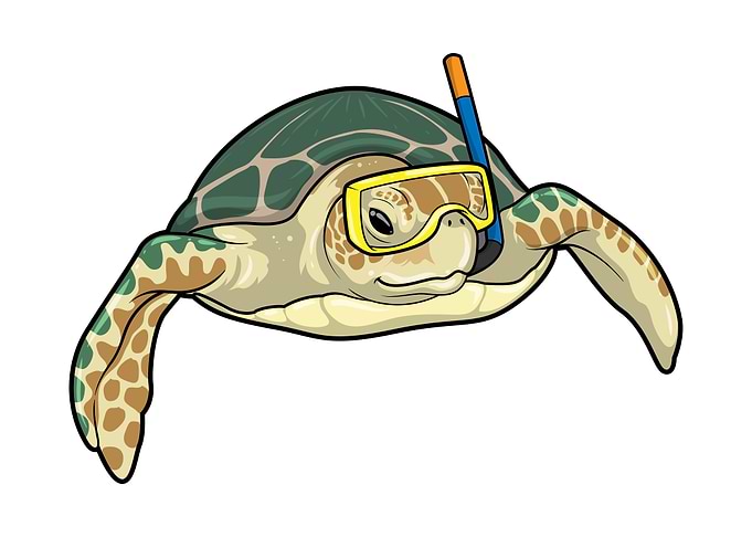 Turtle Diver Snorkel