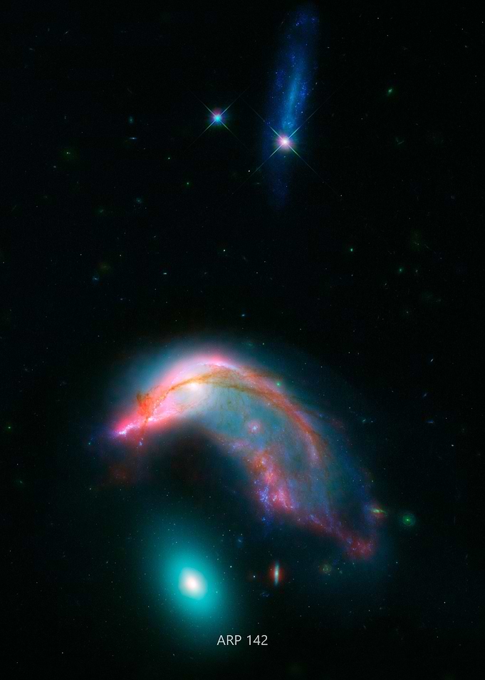 ARP 142