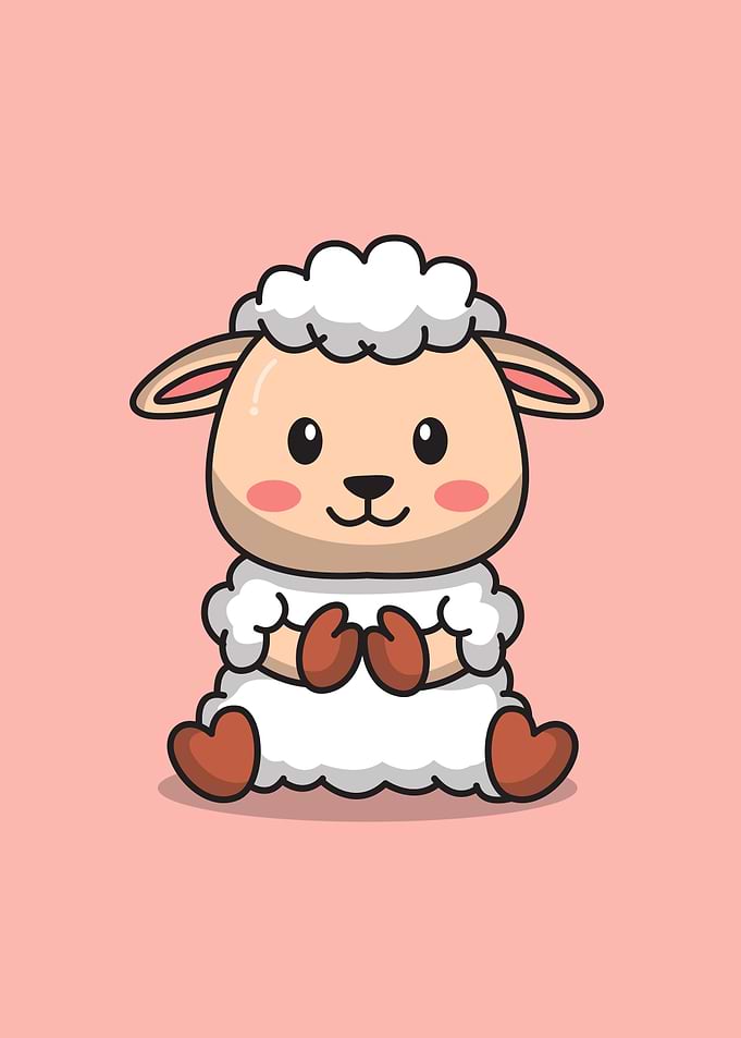 Cute baby sheep