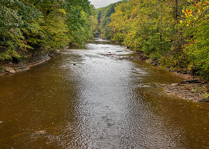 Fall at Ashtabula River