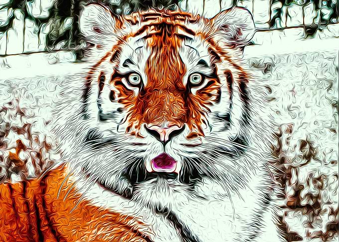 Tiger