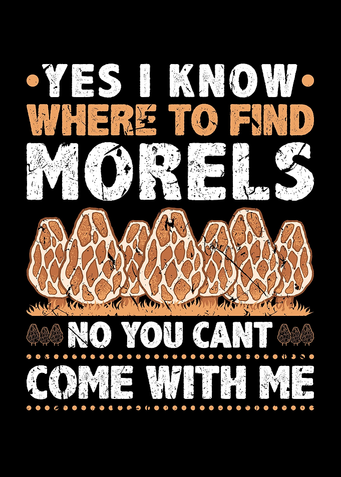 Find Morels Hunting