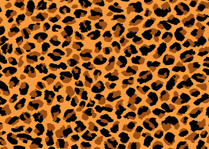 Leopard Skin Texture