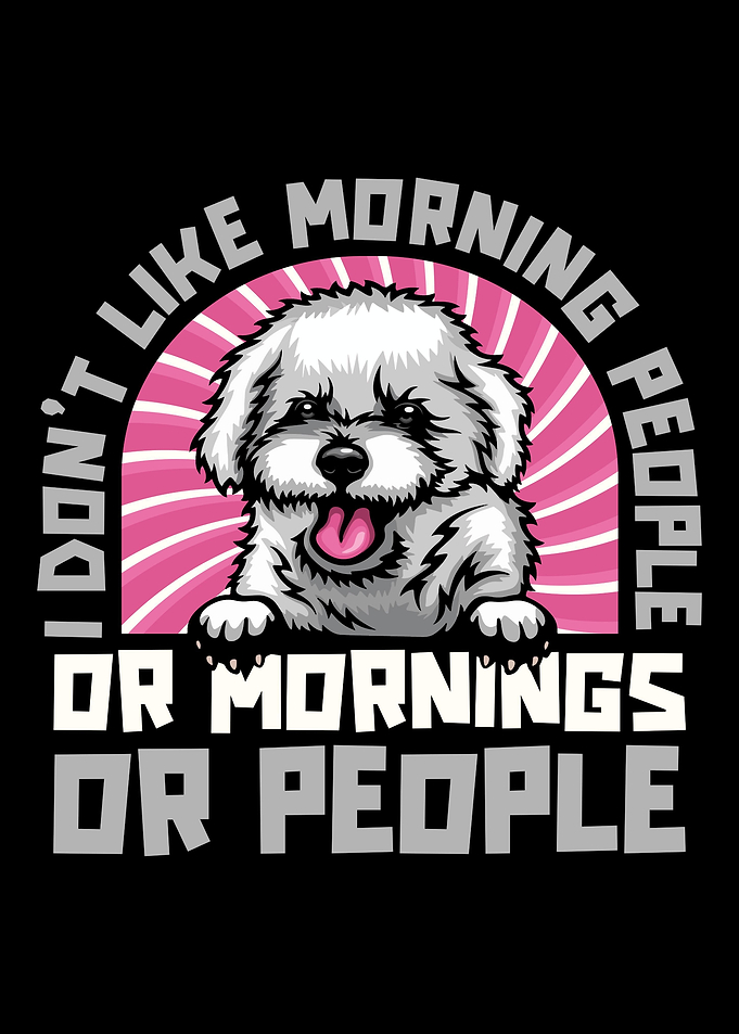 Bichon Frise Dog