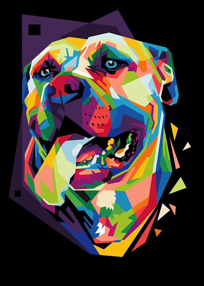 colorful dog head