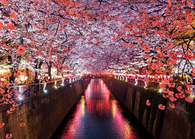 MEGURO RIVER