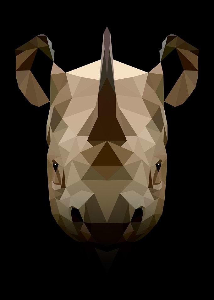 Rhino