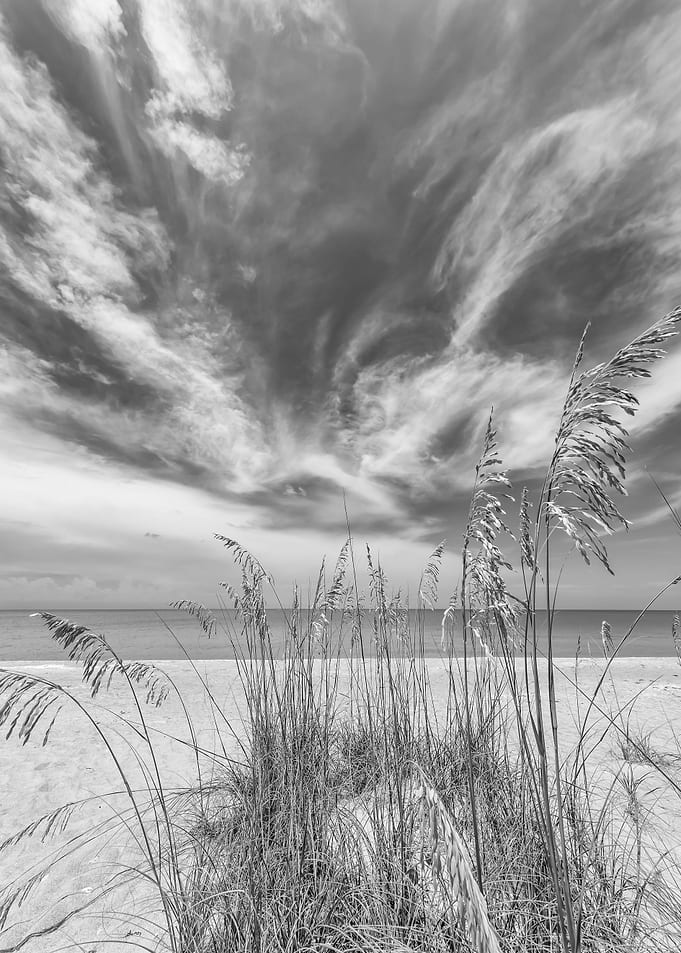 Monochrome beachscape