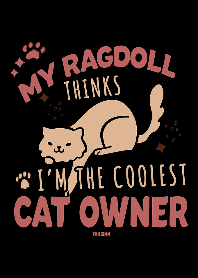 Cool cat owner Ragdoll say