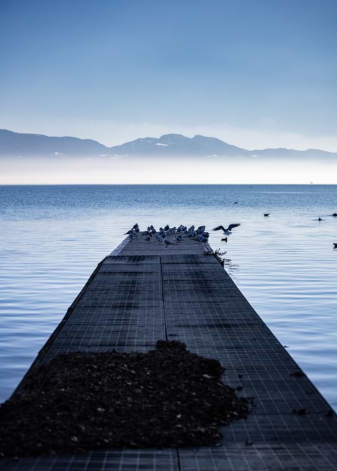 Calm on the Leman lake
