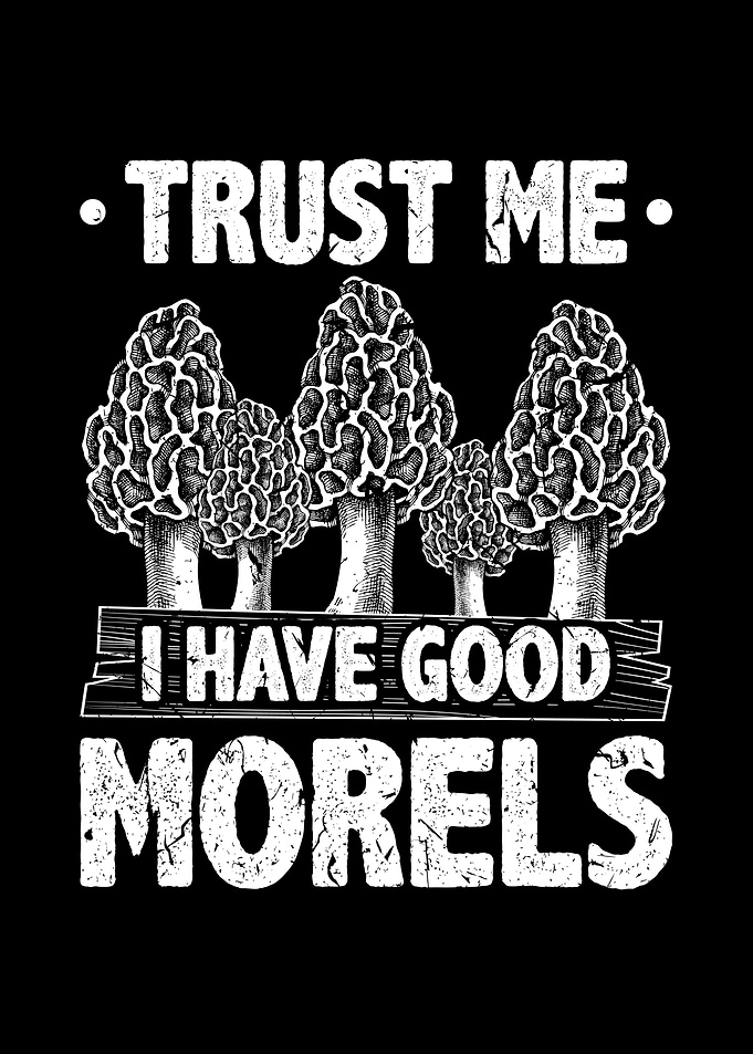 Good Morels Foraging