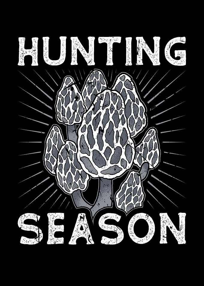 Mushroom Hunter Foraging