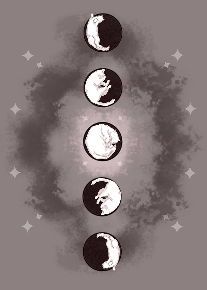 Cat Phases