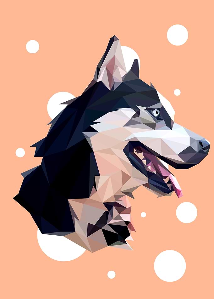 Husky