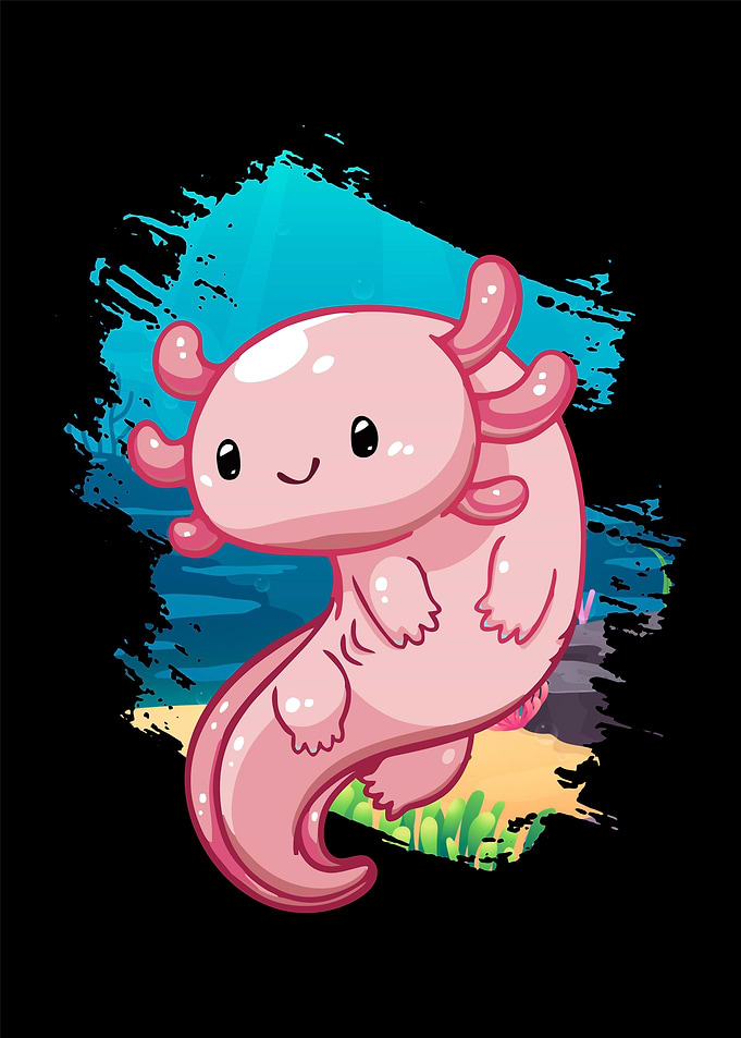 The Axolotl
