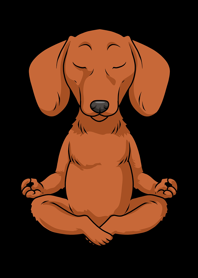 Dachshund Meditation Yoga