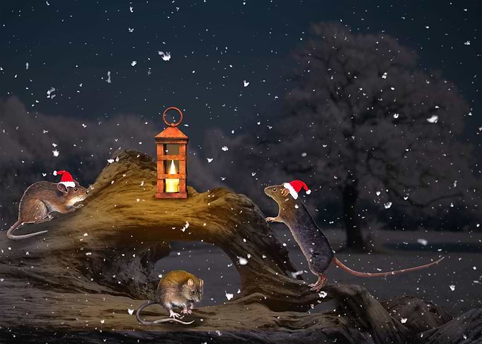 Christmas spirit