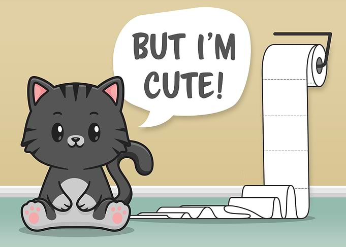 Funny Messy Cat Bathroom 3