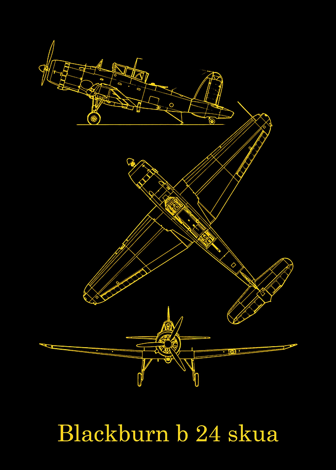 blackburn b 24 skua
