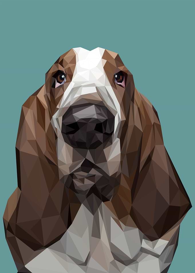 NURSERY ANIMAL DOG
