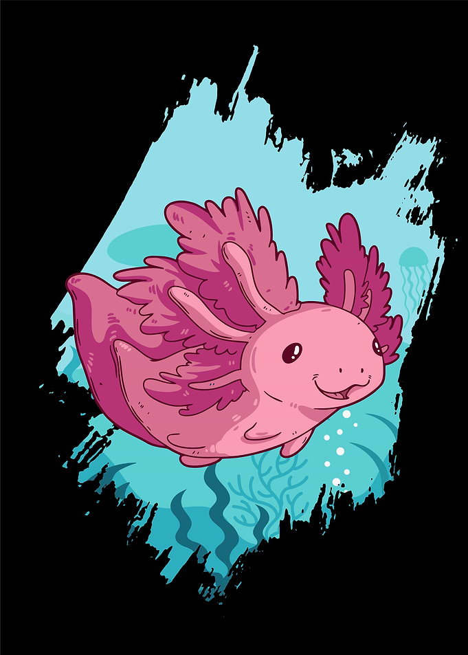The Axolotl