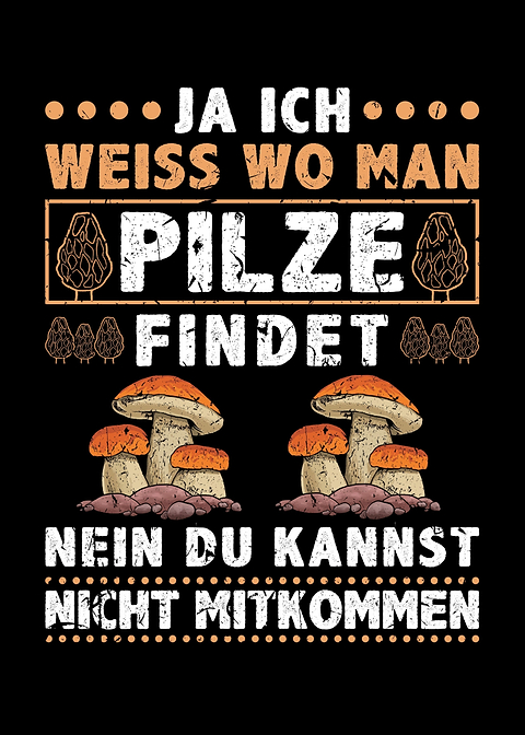 Steinpilz Pilz Sammler