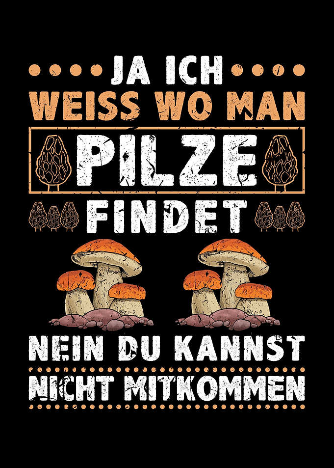 Steinpilz Pilz Sammler