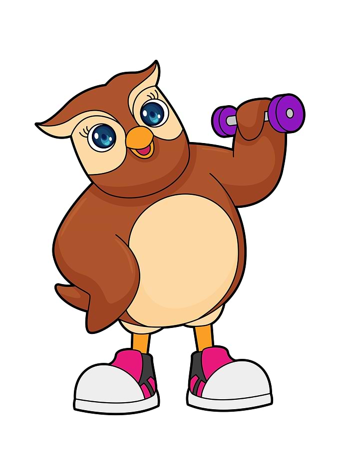 Owl Fitness Dumbbell