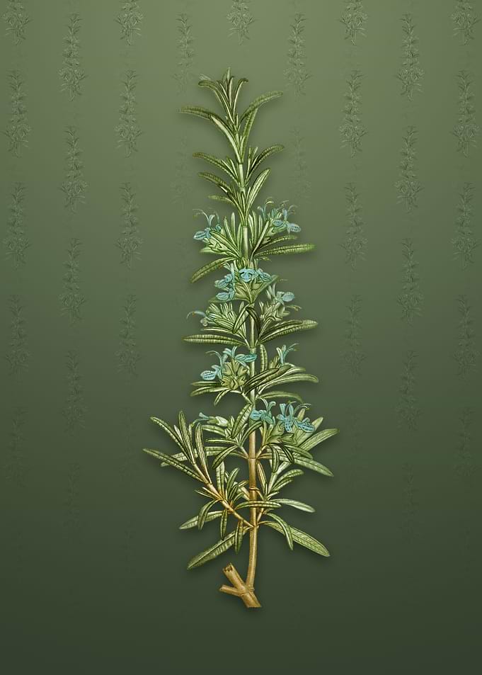 Rosemary on Lunar Green