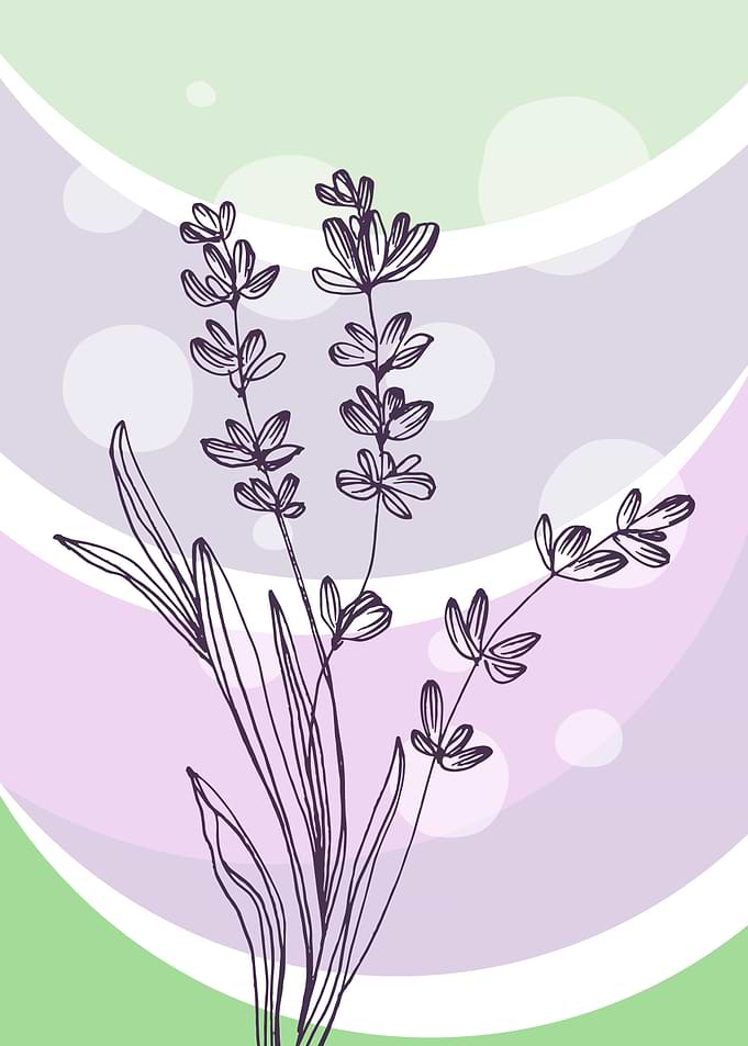 Lavender Minimalist