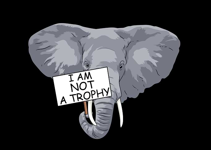 Save The Elephants Gift