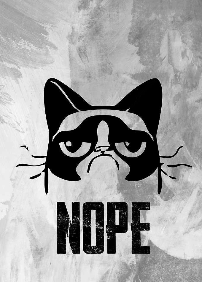 grumpy cat nope