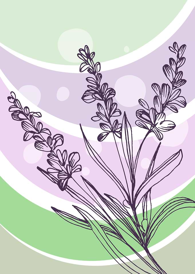Lavender Minimal