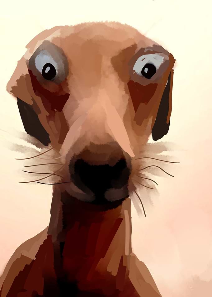 memes dog