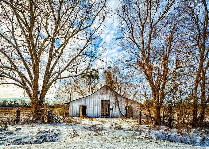 Abandoned Shed in the Snow