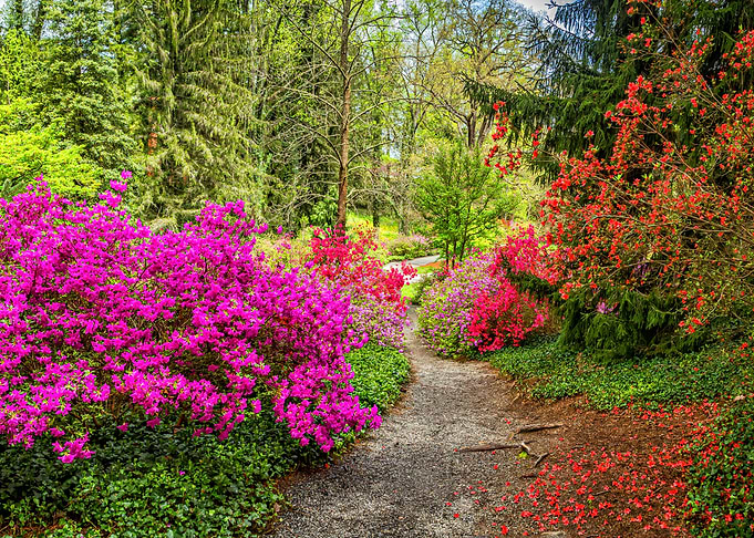 Biltmore Gardens
