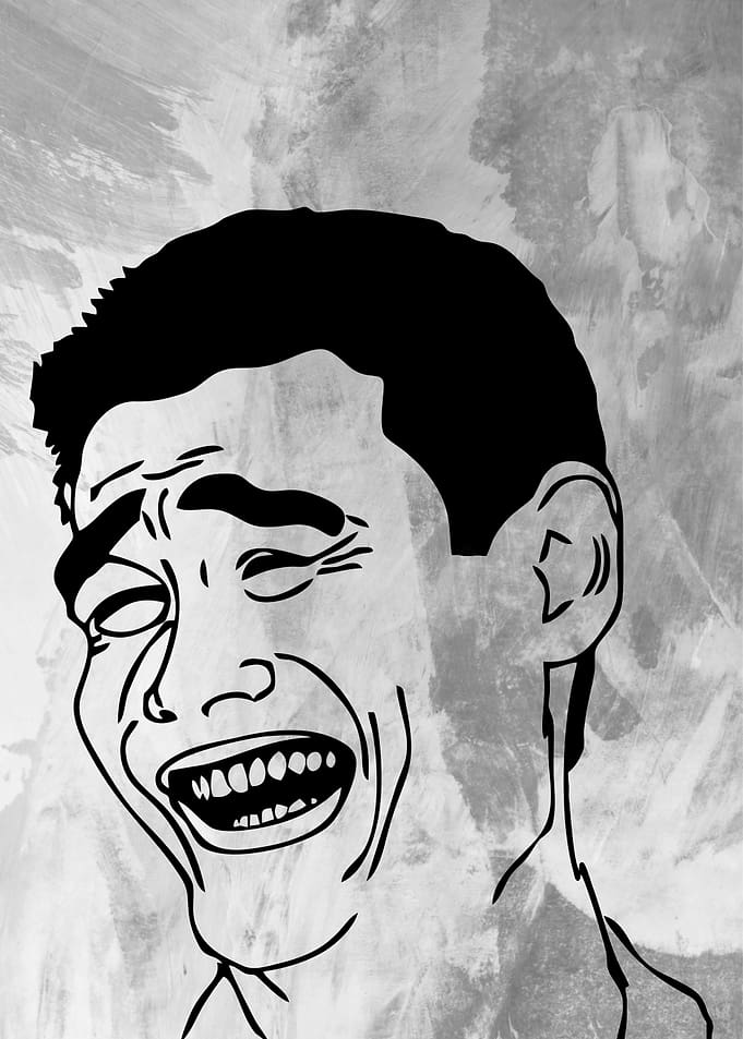 funny memes for your life